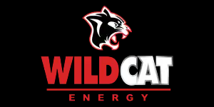 Wild CAT